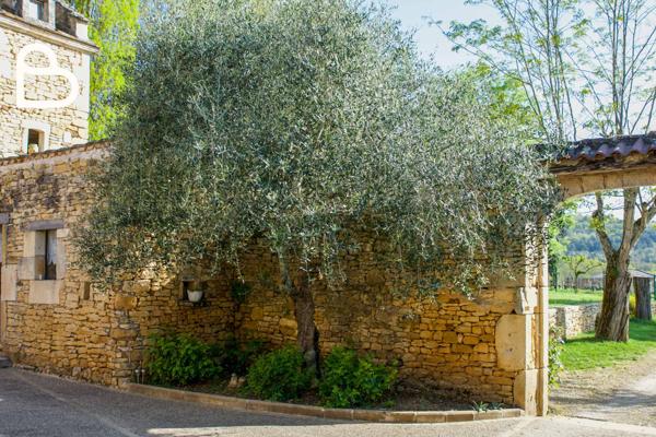 Duravel (46700) Propriété en pierre avec cour intérieure et pigeonnier