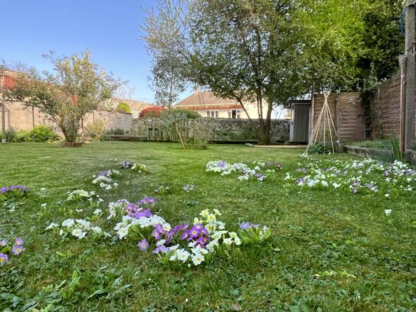 Vente / Maison et grand terrain