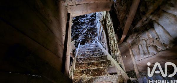 Maison à vendre 2 pièces 290 m² Ally