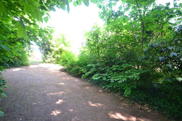 NORD OUEST LYONNAIS, PROPRIETE DE FAMILLE, 600 m² hab., - Parc clos et arboré 4 900 m²