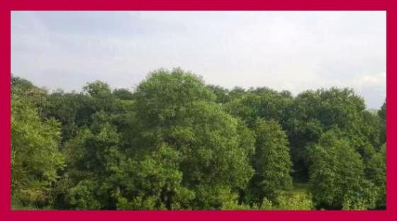 Maison Individuelle 4 chambres