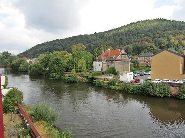 Location                                                      Appartement
                        
                     6 pièces                      117 m2                     à Raon-l'Étape