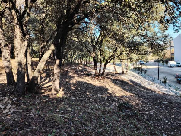 Vaison-la-Romaine (84110) T2 39 m² TERRASSE-VUE- ASCENSEUR