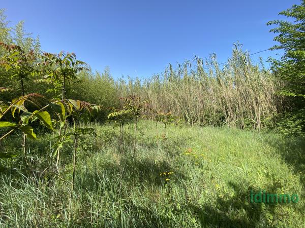 Mas avec terrain Bollène (84500)