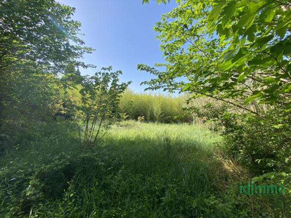 Mas avec terrain Bollène (84500)