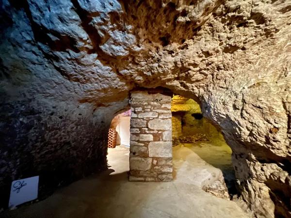 Maison Médiévale avec Tour, Caves et Puits - 4 chambres, cou