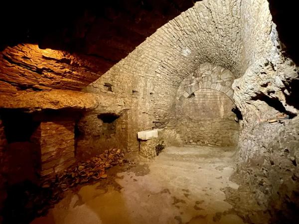Maison Médiévale avec Tour, Caves et Puits - 4 chambres, cou