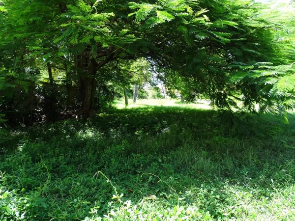 Immobilier Sainte-Anne (97180) – Terrain 7157m2 – 1 365 000 €