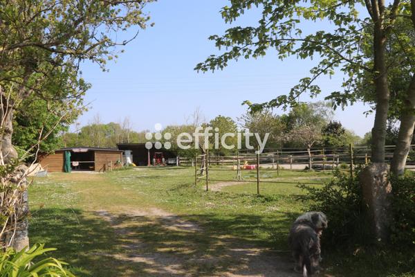 Maison 21 pièces - 450 m² Bien prestige