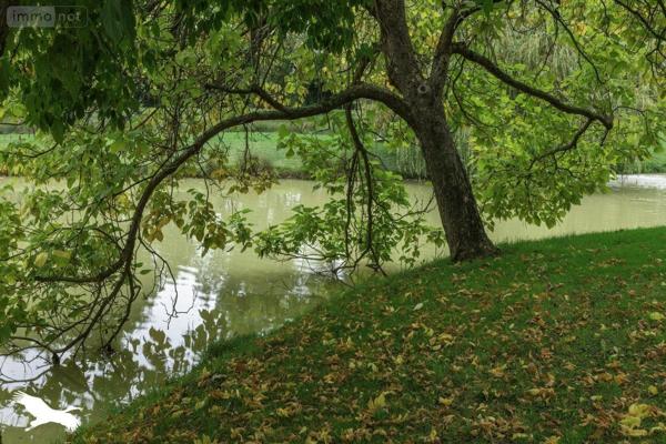 Maison à vendre à L'Isle-Arné dans le Gers (32270), ref : 01047-700