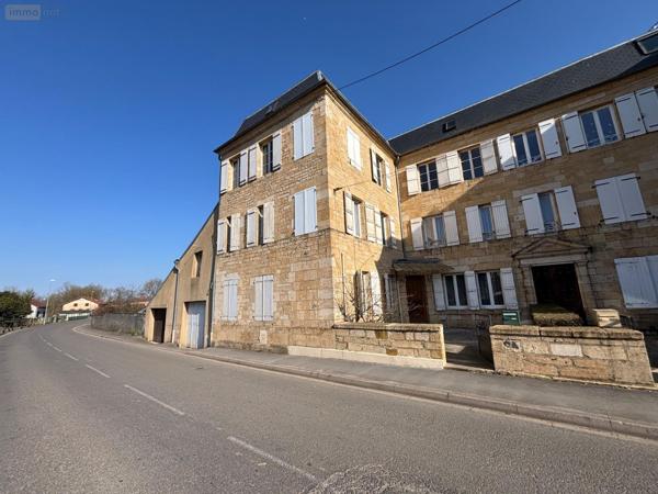 Maison de maître à vendre à Mouzon dans les Ardennes (08210), ref : 10305/1300