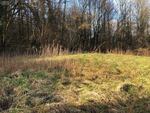 Terrain à Batir à vendre à Fains-Véel dans la Meuse (55000), ref : 55008/33