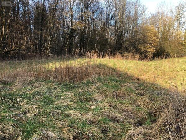 Terrain à Batir à vendre à Fains-Véel dans la Meuse (55000), ref : 55008/33