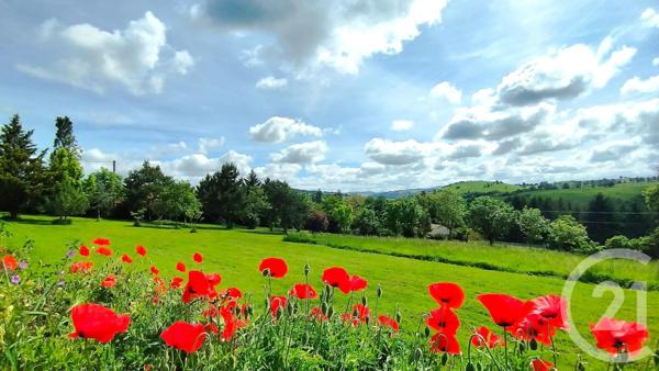 Maison à vendre  8 pièces - 340 m2 PRADINES - 42