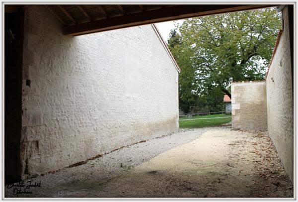 grande longère + dependances