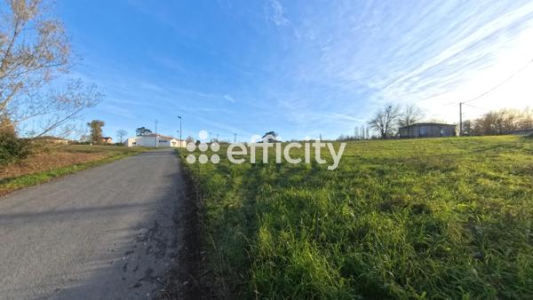 Terrain - 14992 m²