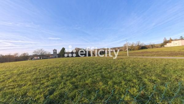Terrain - 14992 m²