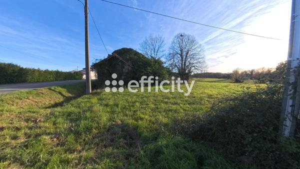 Terrain - 14992 m²