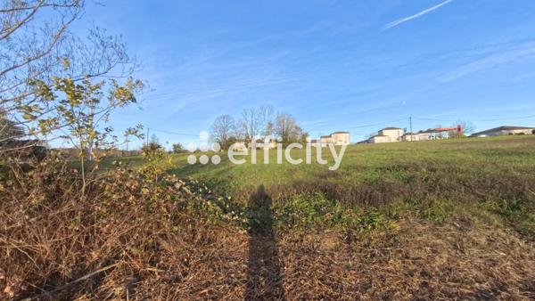 Terrain - 14992 m²