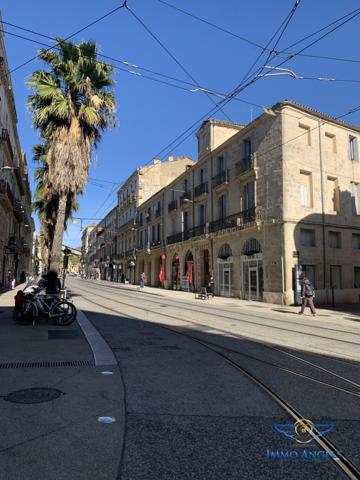 MONTPELLIER CENTRE-BD DU JEU DE PAUME- TRES BEL APPARTEMENT 127M2-2 CHAMBRES(POSSIBILITE 3ème)-AVEC COUR