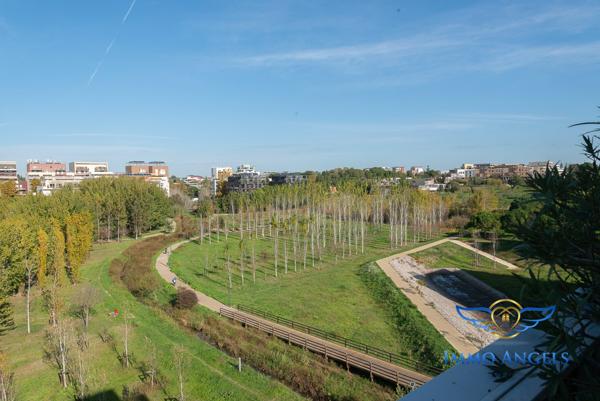 NOUVEAU ! PARC CHARPAK T4 125 M2 EN ATTIQUE