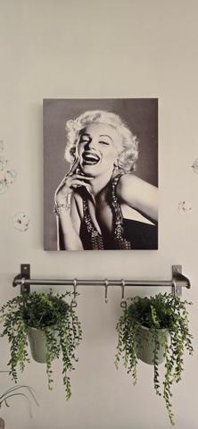 LÈVES BELLE AGGLO NORD DE CHARTRES : Beau T3 d'environ 70m² avec Balcon d'angle et 2 Pkg S/sol