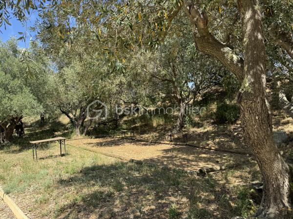 Amoureux de la pierre et des grands espaces, découvrez cette superbe maison de caractère entièrement rénovée en 2013, alliant avec élégance le charme de l'ancien et le confort moderne. Implantée sur un magnifique terrain arboré d'environ 3 225 m² agrémenté d'oliviers centenaires, elle bénéficie d'un environnement privilégié sans vis-à-vis.

Cette propriété développe environ 120 m² habitables pour environ 130 m² de surface utile. Elle dispose d'espaces complémentaires offrant une belle modularité, permettant d'envisager différentes configurations selon les projets de vie (bureau, chambre d'appoint, espace polyvalent). Dès l'entrée, vous serez séduits par son authenticité et ses prestations soignées. Le rez-de-chaussée se compose d'une belle entrée, d'un placard de rangement,   d'un WC indépendant, d'une buanderie, d'un bureau ainsi que d'une agréable pièce de vie réunissant salon, séjour et cuisine équipée ouverte. Les magnifiques murs en pierre apparente apportent un cachet unique à l'ensemble. Pour un confort optimal en toutes saisons, la maison est équipée d'une climatisation réversible ainsi que d'un poêle à granulés, offrant une solution de chauffage à la fois économique et chaleureuse.

À l'étage, un palier dessert deux chambres confortables, dont une avec dressing. Vous trouverez également un dressing indépendant, un WC séparé ainsi qu'une salle de bain équipée d'une douche, d'une baignoire et d'un meuble double vasque. Une pièce supplémentaire mansardée offre un espace complémentaire idéal pour une chambre d'appoint, un bureau, une salle de jeux ou un espace de rangement selon vos besoins.

À l'extérieur, tout a été pensé pour profiter pleinement du cadre exceptionnel. Vous disposerez d'une piscine semi-enterrée en bois d'environ 5 x 3,5 m, d'une pergola pour vos moments de détente, d'un espace en pelouse synthétique, d'un terrain de pétanque à réhabiliter selon vos envies ainsi que d'un authentique puits en pierre équipé d'une pompe. Un chemin d'accès privatif mène directement à la propriété, renforçant son caractère intimiste.

Cette maison bénéficie d'un emplacement idéal alliant tranquillité et proximité des commodités : commerces, professionnels de santé, restaurants et services du quotidien. Lézignan-Corbières est accessible en un peu plus de 10 minutes et l'accès à l'autoroute A9 en environ 8 minutes.

Une propriété pleine de charme, rare sur le secteur, qui séduira les amateurs d'authenticité, de nature et d'espace.

Contactez moi dès aujourd'hui pour organiser une visite et découvrir tout le potentiel de ce bien coup de cœur.