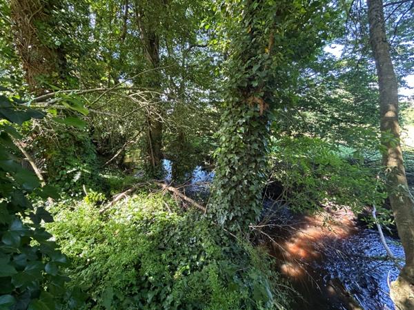 Maison à vendre 4 pièces LUSSAC LES EGLISES (87) sur grand jardin clos proche ruisseau.