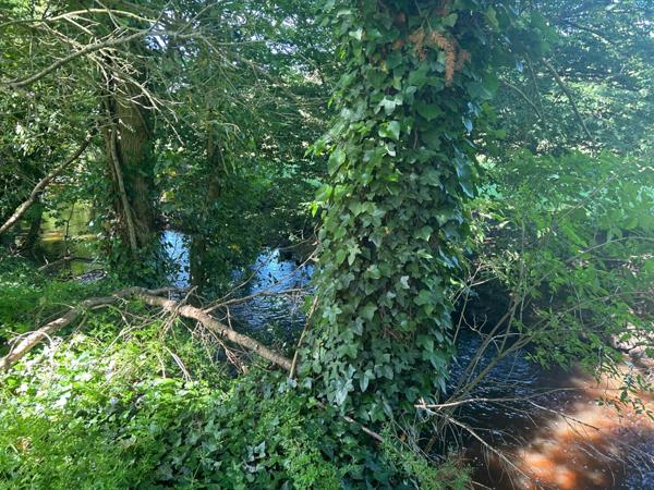 Maison à vendre 4 pièces LUSSAC LES EGLISES (87) sur grand jardin clos proche ruisseau.