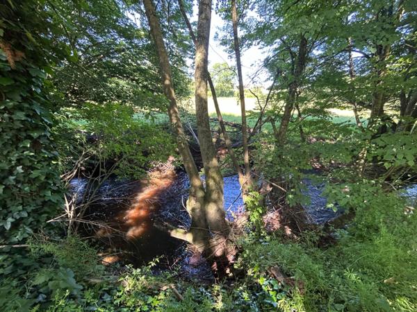 Maison à vendre 4 pièces LUSSAC LES EGLISES (87) sur grand jardin clos proche ruisseau.