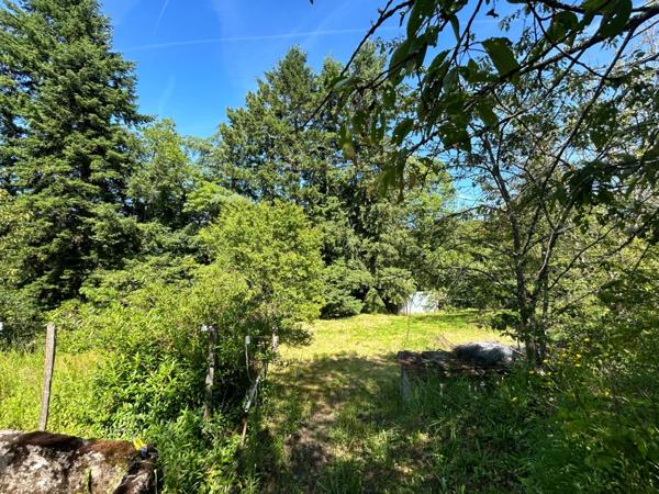 Maison à vendre 4 pièces LUSSAC LES EGLISES (87) sur grand jardin clos proche ruisseau.