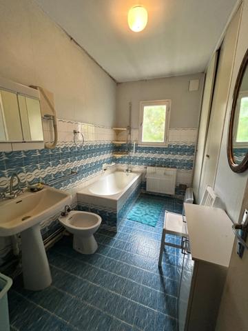 Maison à vendre 4 pièces LUSSAC LES EGLISES (87) sur grand jardin clos proche ruisseau.