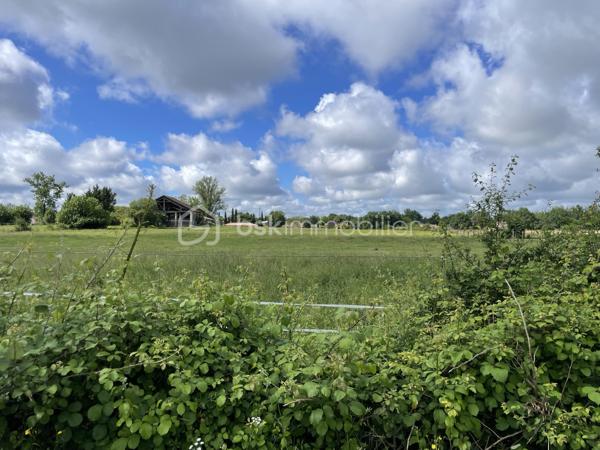 Très beau terrain plat sur une surface de 764 m2 dans un quartier calme et prisé de Montauban.