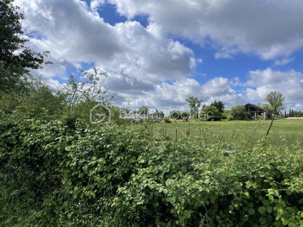 Très beau terrain plat sur une surface de 764 m2 dans un quartier calme et prisé de Montauban.