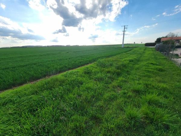Vente / Terrain constructible