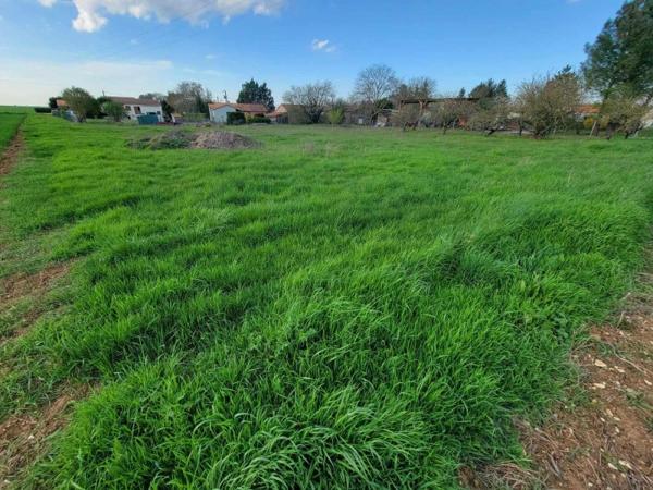 Vente / Terrain constructible