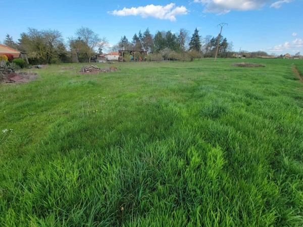 Vente / Terrain constructible