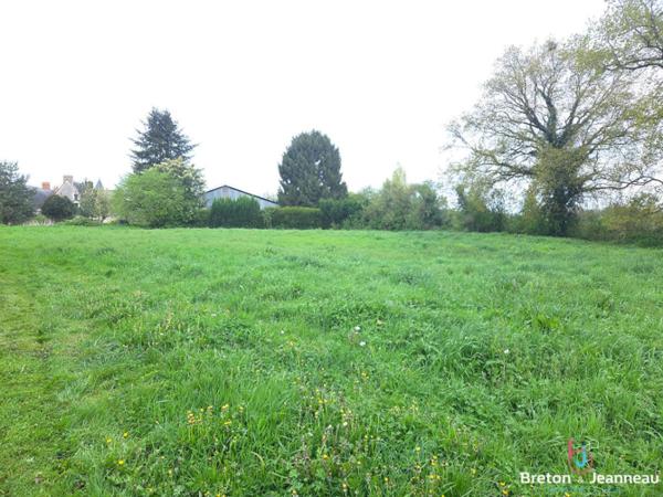 Terrain de 2546 m² à Saint Georges Le Fléchard