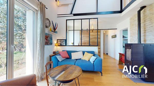 Savonnières (37510) Maison lumineuse avec grand jardin