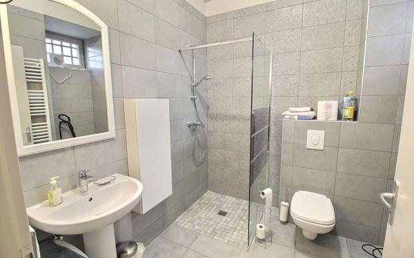 Appartement à vendre    5 pièces • 150 m2 Ensisheim