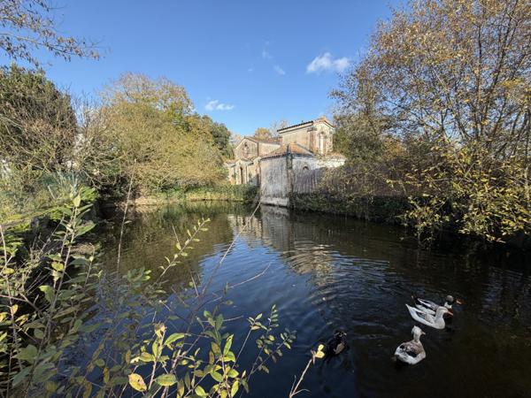 La campagne à la Ville
