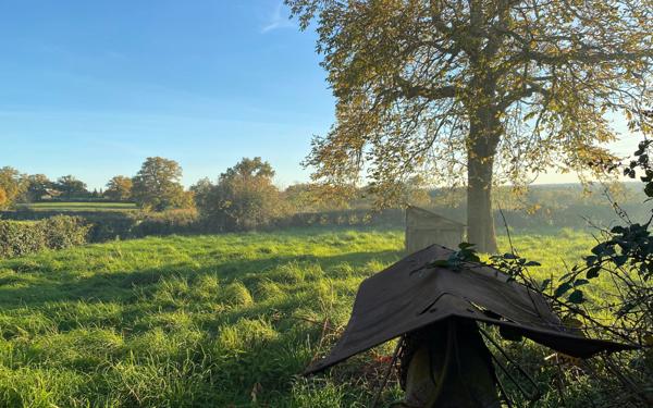 Maison à vendre    5 pièces •  Mazirat