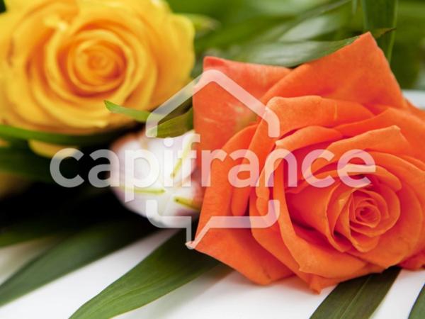 Terrain Agricole à vendre à Mtsapéré MAMOUDZOU (976)