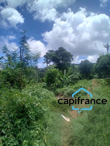 Terrain Agricole à vendre à Mtsapéré MAMOUDZOU (976)