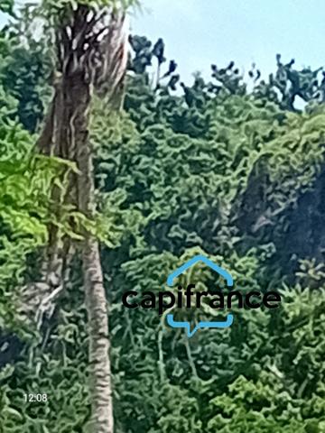 Terrain Agricole à vendre à Mtsapéré MAMOUDZOU (976)