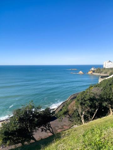 🏖️ Coup de cœur à la Côte des Basques – Duplex Bohème à 100m de la plage 🌊