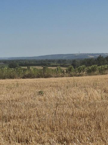 Terrain agricole de 4 hectares – Vue panoramique – Secteur Campsas / Fabas