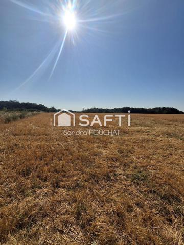 Terrain agricole de 4 hectares – Vue panoramique – Secteur Campsas / Fabas
