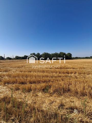 Terrain agricole de 4 hectares – Vue panoramique – Secteur Campsas / Fabas