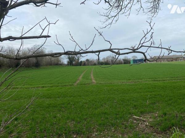 Vente Terrain à bâtir à usage professionnel  